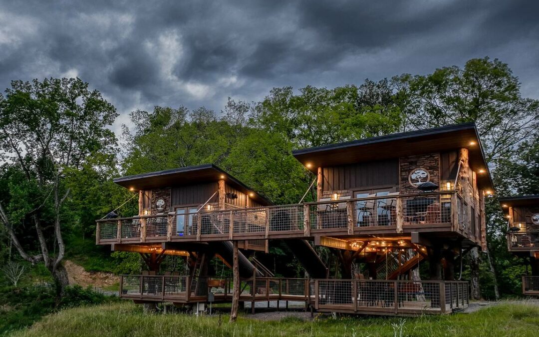 Fun Things You Didn’t Know About  Sanctuary Treehouse Resort
