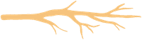 divider-branch-light branch divider